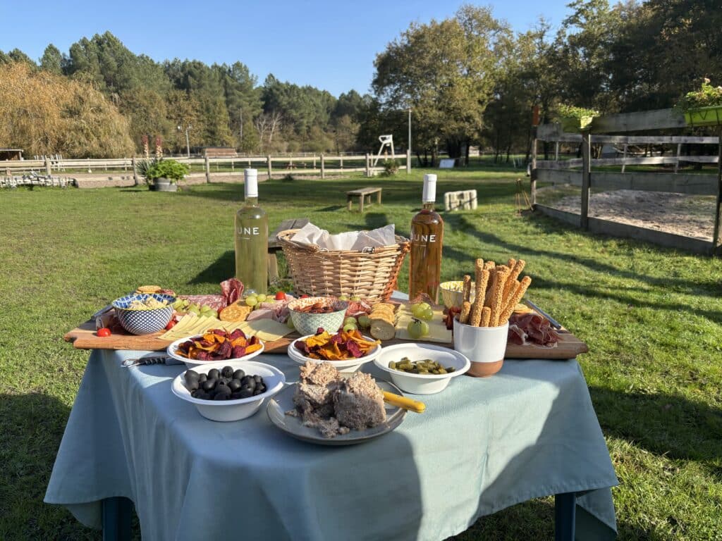 Apéritif champêtre avec vin DUNE, fromages et charcuterie sur une table ensoleillée face à une prairie.