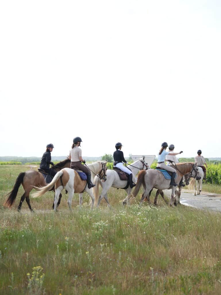 Cinq cavaliers en randonnée équestre dans une prairie fleurie. L'une d'elles désigne une direction.