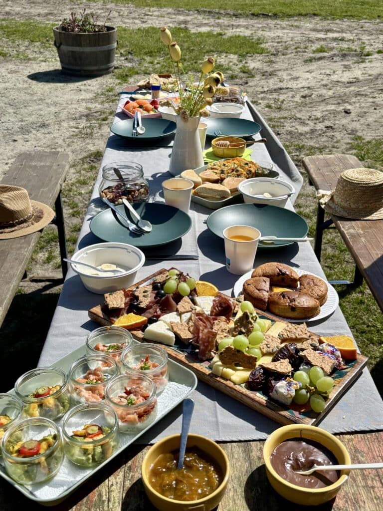 Table de pique-nique garnie de charcuterie, fromages, fruits et verrines lors d'un déjeuner ensoleillé.
